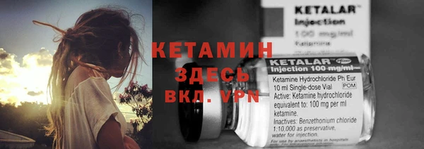 сатива Зеленокумск