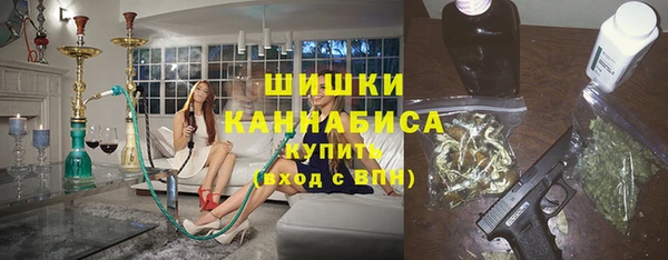 сатива Зеленокумск