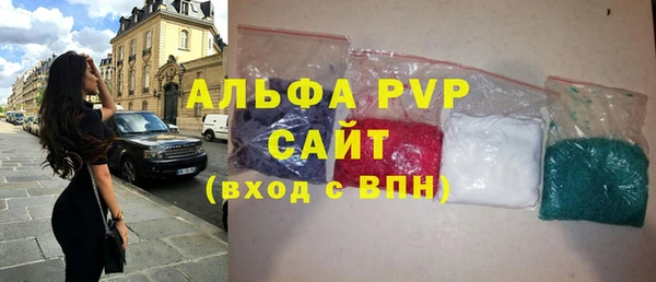 сатива Зеленокумск
