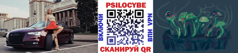 Галлюциногенные грибы Psilocybine cubensis  Купить где  Калач 